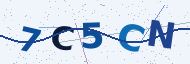 Security code to type