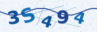 Security code to type