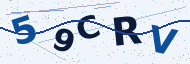 Security code to type