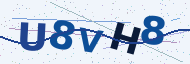 Security code to type