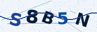 Security code to type