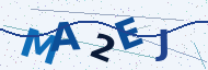 Security code to type