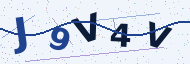 Security code to type