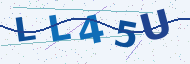 Security code to type
