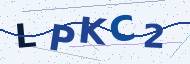 Security code to type