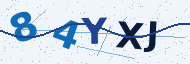 Security code to type