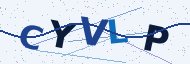 Security code to type